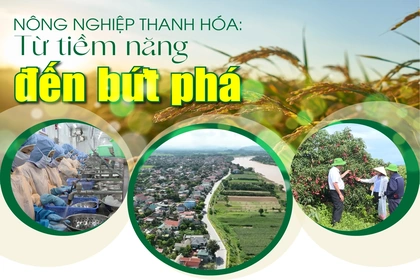 [E - Magazine] Nông nghiệp Thanh Hóa - Từ tiềm năng đến bứt phá